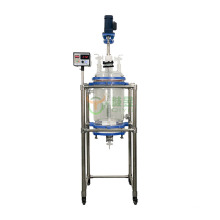 10L Hot sale Chemical Glass Reactor with filter function